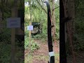 3d Beaver through a Pipe Shot! #archery #sport #outdoors #hobby #practice #nice #fun #nature #ok #3d