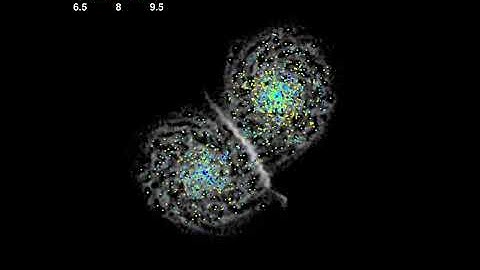 Formation and evolution of the star cluster population in a galaxy merger