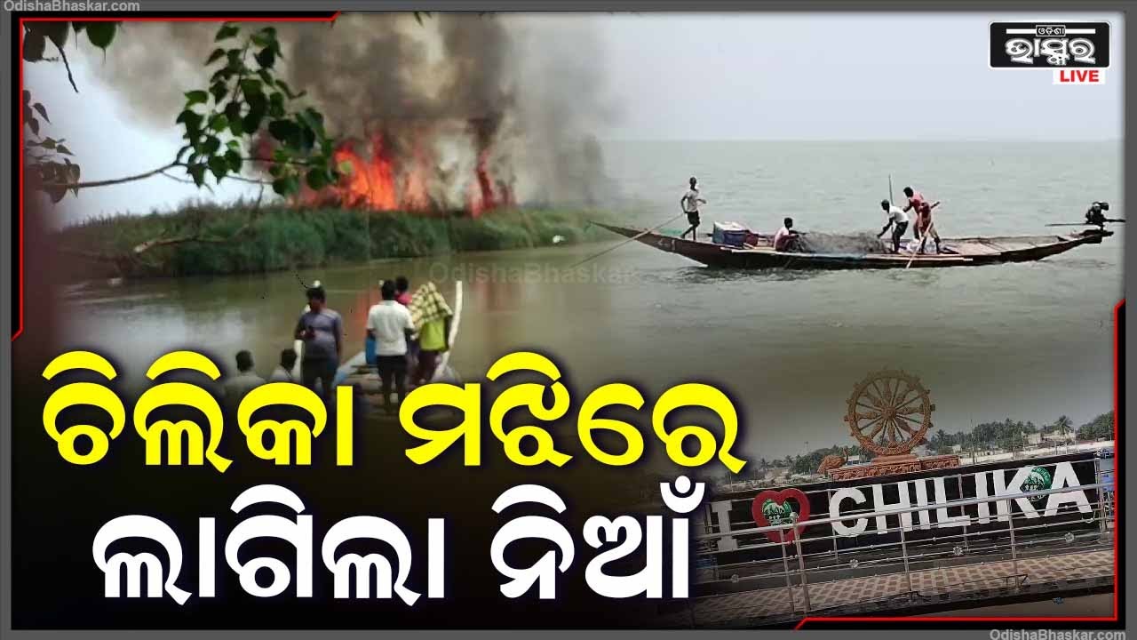 ହଠାତ ଚିଲିକା ମଝିରେ ଲାଗିଗଲା ନିଆଁ | କିଛି ପକ୍ଷୀ ନିଆଁରେ କ୍ଷତି ଗ୍ରସ୍ଥ ହୋଇଥିବା ସୂଚନା ମିଳିଛି