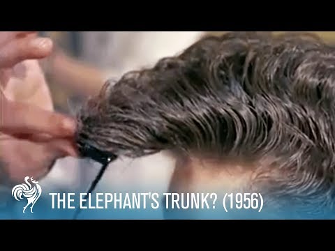 코끼리의 트렁크? : 1950 년대 남성 헤어 스타일 (1956) | 영국 Pathé