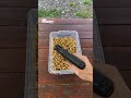 JUST GLOCK 19 SOUNDS. NO TALKING. PURE ASMR😌 #asmr #glock #edc #shooting #review #reshoot