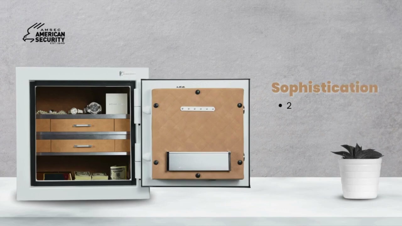 AmSec American Security Jewelry Safes