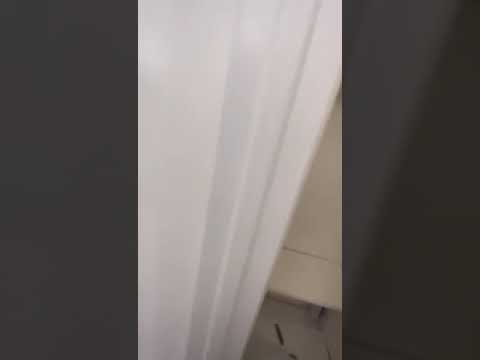 509 w 169th, Hammond, IN home video tour