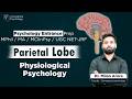 Parietal Lobe &amp; Functions Explained | Psychology Entrance Prep MPhil / MA / MClinPsy / UGC NET-JRF