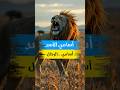 دقيقة مع شيفو أسماء الرجال المستوحاة من هيبة الأسد هل اسمك بينها
