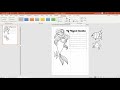 Create Journal & Coloring Pages in PowerPoint