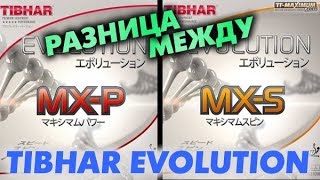 сравнение TIBHAR Evolution MX-S и Evolution MX-P - чем отличаются, краткий обзор (тест)