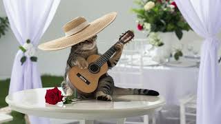 【Relaxing Flamenco Guitar】Memories  #cat #relax #flamencoguitar #music