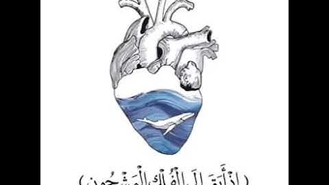 وإن يونس لمن المرسلين بصوت الشيخ عمير شميم سورة ( الصافات )