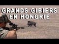 Chasse en forêt de Guth 2ème battue part 1