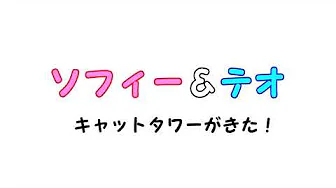 ソフィー＆テオ 　～キャットタワーがきた！
