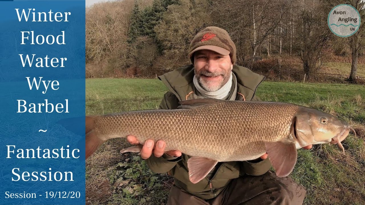 Artist necessity extract Winter Floodwater Barbel Fishing - Wye Up 3m & Rising! - Fantastic Session  - 19/12/20 (Video 202) - YouTube