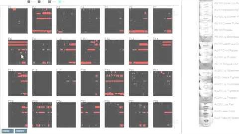 acume - behavioral data visualization toolkit