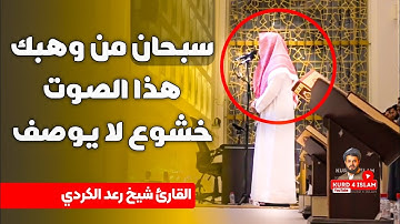سبحان🥺 من وهبك هذا الصوت خشوع لا يوصف🍃💛القارئ الشيخ رعد الكردي💛❤