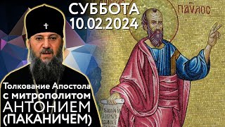 Суббота, 10 февраля 2024 года. Толкование Апостола с митр. Антонием (Паканичем).