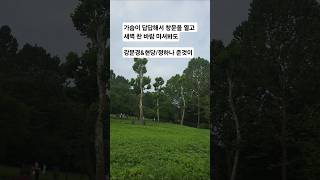 정하나  준것이 #강문경 #현당 #정하나준것이 #한일톱텐쇼 #강문경팬카페 #음색장인