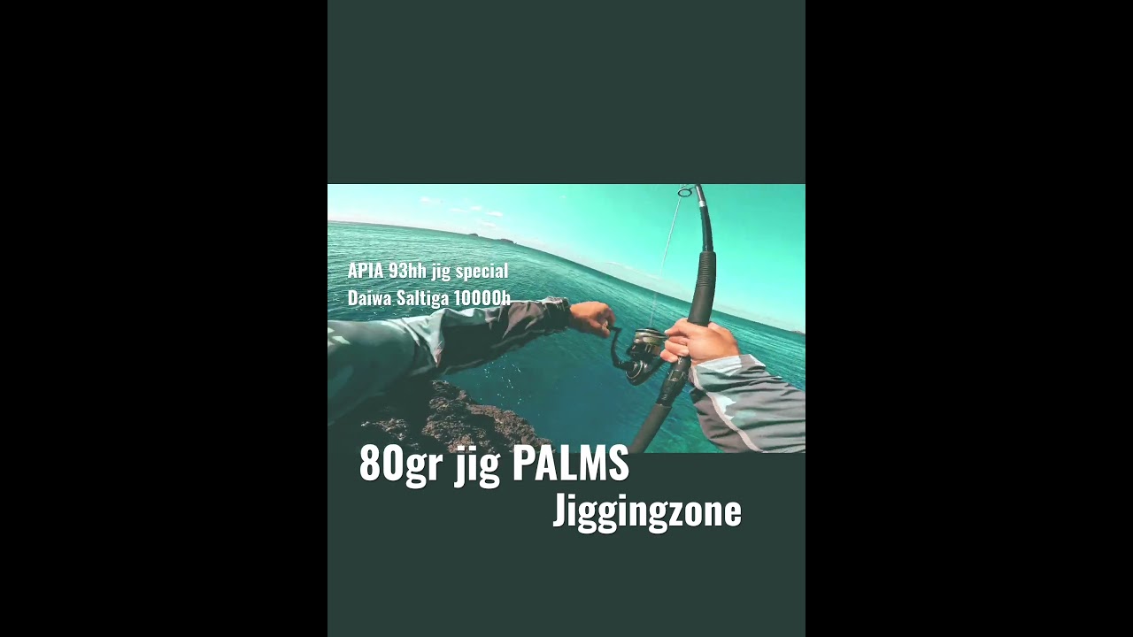 2 Μαγιάτικα σε ένα πλάνο | APIA 93hh jig special #shorejigging #mancing #daiwa #apia #psarema #fish