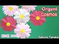 Origami Cosmos / 折り紙 コスモス 切り方 作り方