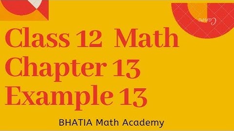 Class 12 Math Chapter 13 Example 13