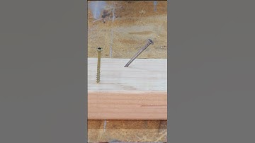 Nails vs Screws. Which is better? #shorts