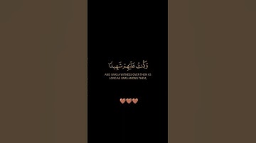 سورة المائدة / القارئ الشيخ محمد الغزالي / تلاوة خاشعة تريح سمعك