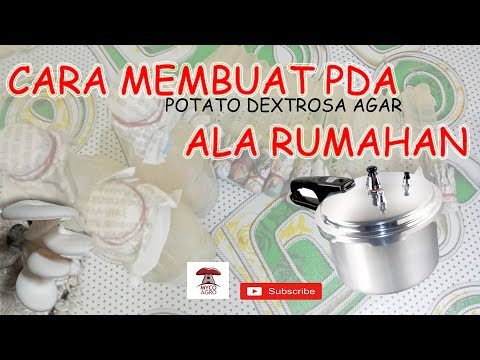 Video: Cara Membuat Pelayan Media