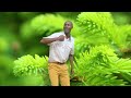 NYANDA LUNDUMA SONG TANZANIA 2026 OFFICE VIDEO BY MAINA STUDIO NYANDA LUNDUMA SONG TANZANIA 2026 OFFICE VIDEO BY MAINA STUDIO