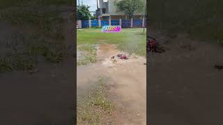 Rc Car Offroad #shorts