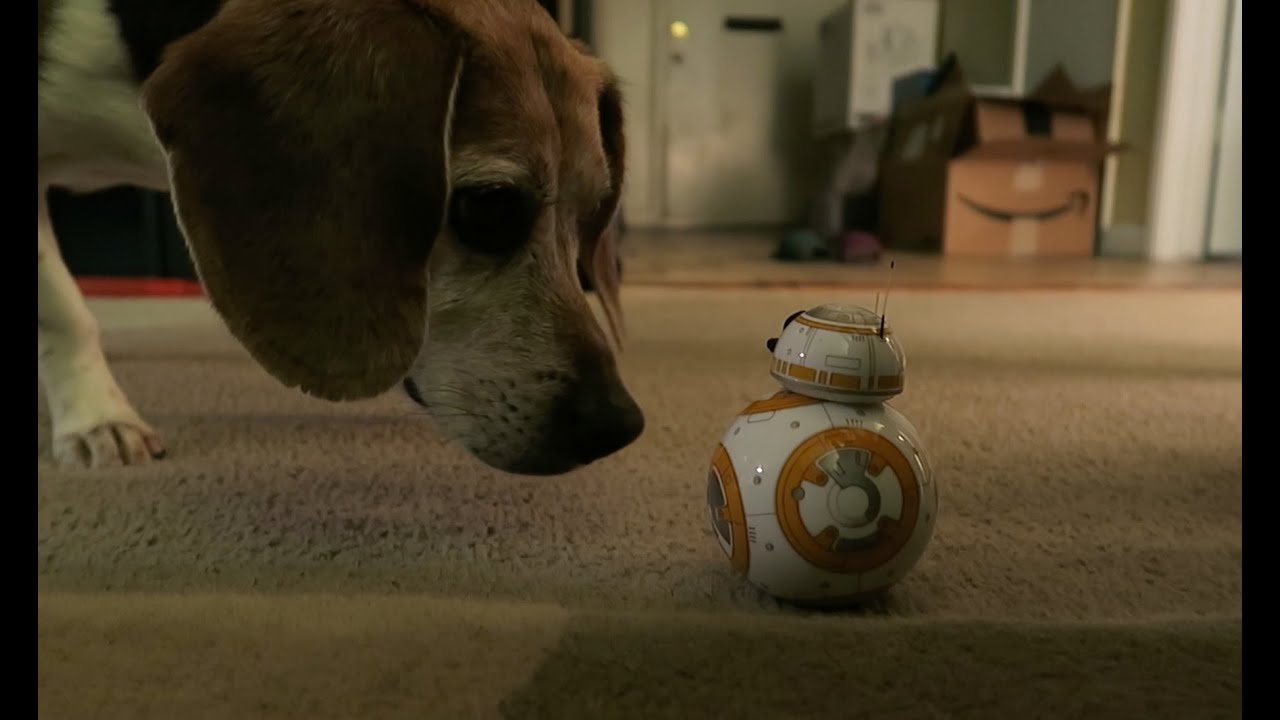 BB-8 first run - YouTube