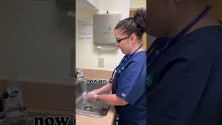 Learn how to Properly Wash your Hands
