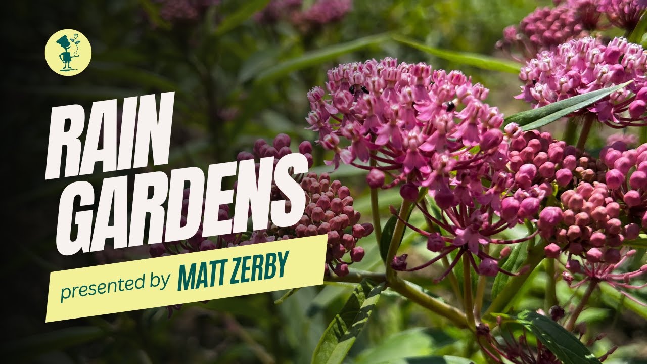 Landscape Design Tree Farm Wasco Nursery & Garden Center