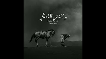 تلاوة هادئة تريح الأعصاب 😴🎧 | القاريء اسلام صبحي - سورة لقمان 🤍🌥️."