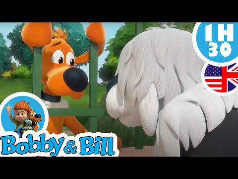 😟 Bill has a bay day 🐾 - Bobby and Bill New Compilation