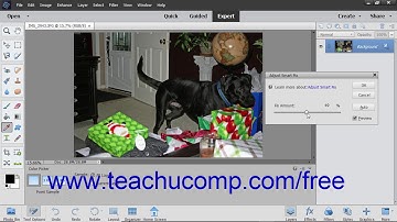 Photoshop Elements 2019 Tutorial Adjust Smart Fix Adobe Training