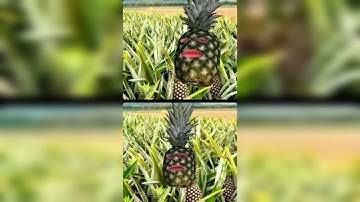 Juice WRLD - Compromise (Full Snippet)