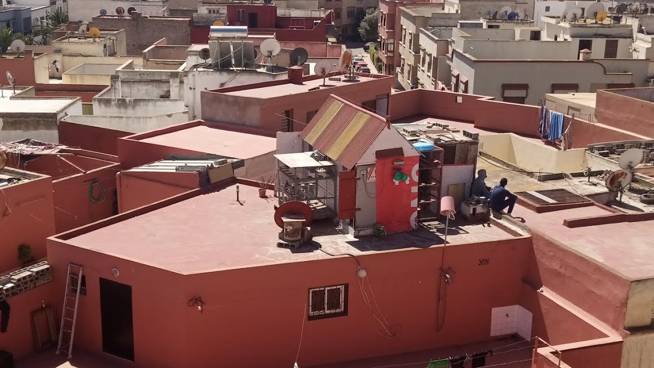 📸لحظه دخول الحمام أول سباق في مرحلة نصف الطويل 320 km عند البطل YOUSSEF HAMOR ألف ألف مبرووووك 🔥