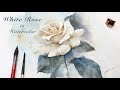 How to Paint a White Rose in Watercolor Tutorial