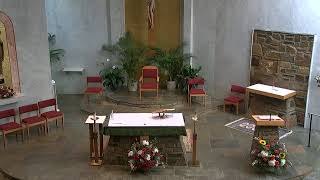 Nativity Live Stream Noon Mass - August 25, 2020