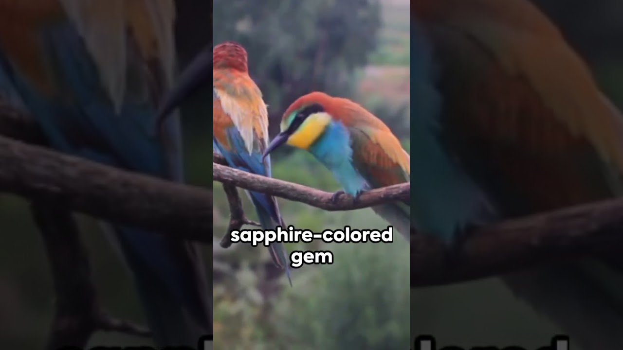 Feathers of Rarity: Discovering the World's Rarest Birds and Their Unique Features!