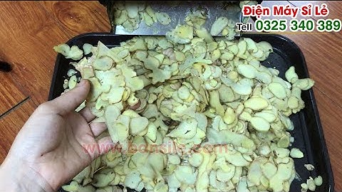 Test thử máy xắt lát gừng, thái lát gừng, cắt lát gừng làm mứt mỏng dính, điều chỉnh độ mỏng 0 -1cm