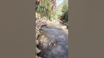 القرآن الكريم راحة نفسية نسأل الله تعالى حسن الخاتمه 😭