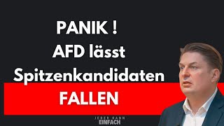 MaxKrah und die AFD von FRANKREICH ausgetrickst