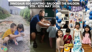 Dinosaur Egg Hunting Day | Let's check blood sugar (9th -10th May 2024)#vlog #lunglei