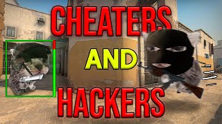 Counter-Strikes Cheating Phenomenon
