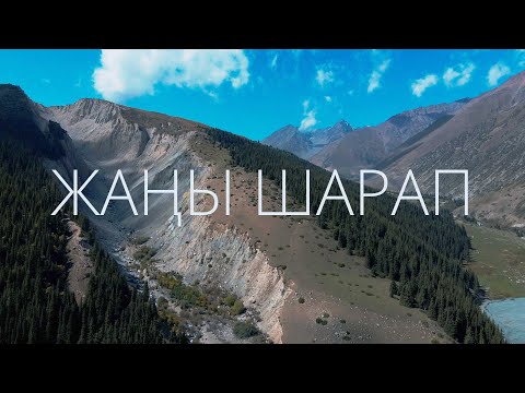 Video: Шарап пиязынын шорпосу