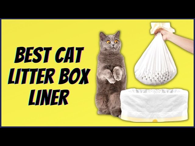 All About PETS | Big Bag Premium Soybean Cat Litter Green Tea 17.5L |  HKTVmall The Largest HK Shopping Platform
