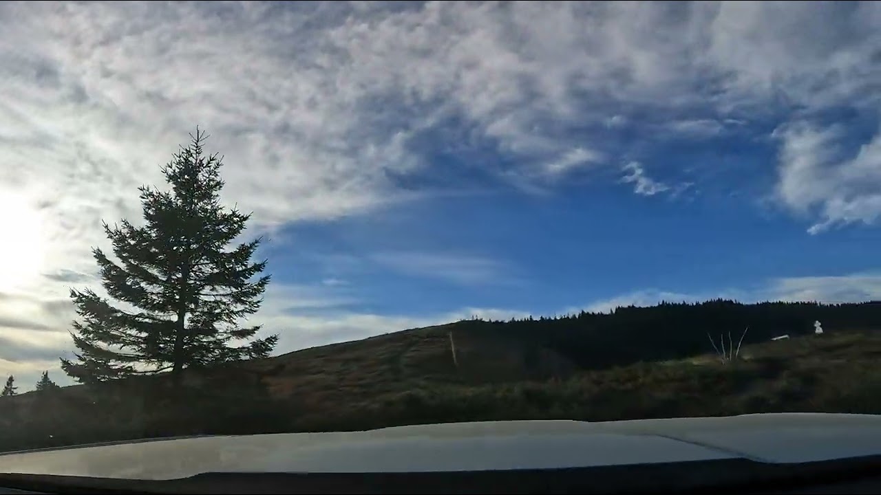 Kodiaq - Vârful Giurgiu