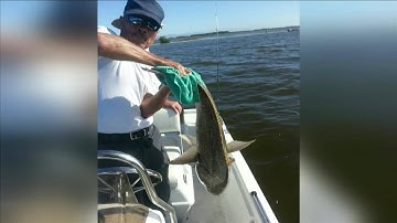 Video shows moment man on bike was struck, killed by SUV