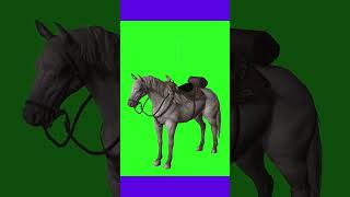 Horse 3d animation greenscreen video #horse #animation #3danimation #animal #emote