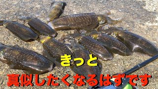 【エギング】釣果UPのお役にたてるハズです